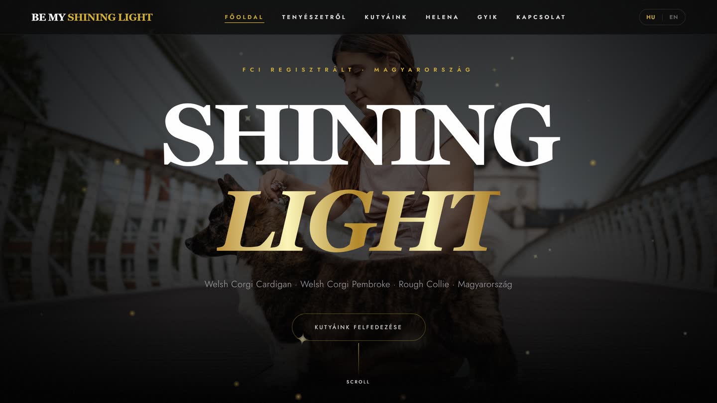 A Be My Shining Light nyitóoldala: sötét, csillagos háttér, a kennel neve arany színátmenettel
