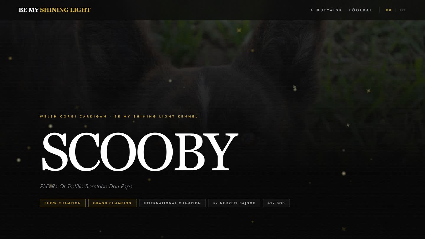 Scooby saját aloldalának nyitóképe a Be My Shining Light oldalon, a megszerzett címekkel